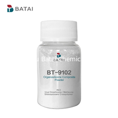 BT-9102 Cosmetisch siliconenpoeder KSP 101 Zorgt voor oliecontrole-effect in los poeder