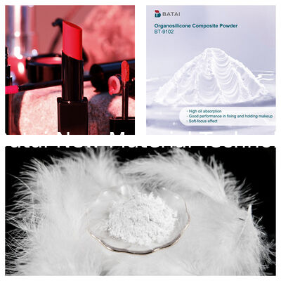 BT9102 Siliconepoeder samengesteld uit vinyl PDMS methicone silsesquioxane crosspolymer